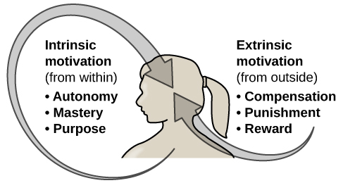 ./resources/motivation-intrinsic-vs-extrinsic.resources/cnx_psych_10_01_motivation_n.jpg