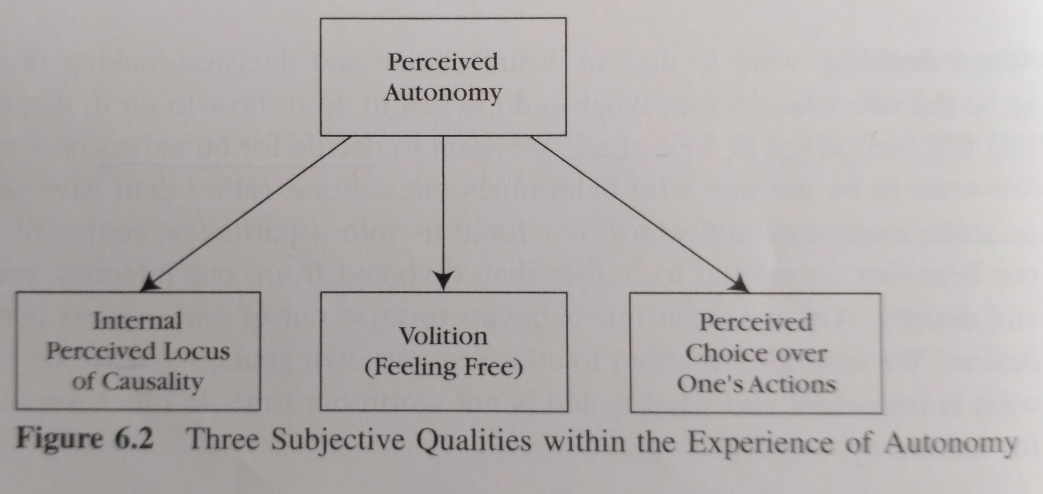 ./resources/motivation-intrinsic-vs-extrinsic.resources/perceived-authonomy.jpg